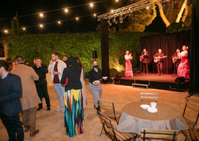 Spectacle de musique et danse flamenco