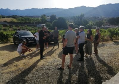 visite domaine viticole Ajaccio incentive