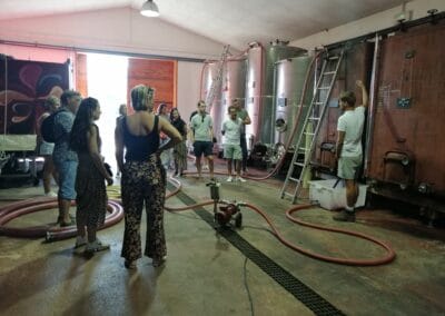 visite domaine viticole Ajaccio incentive