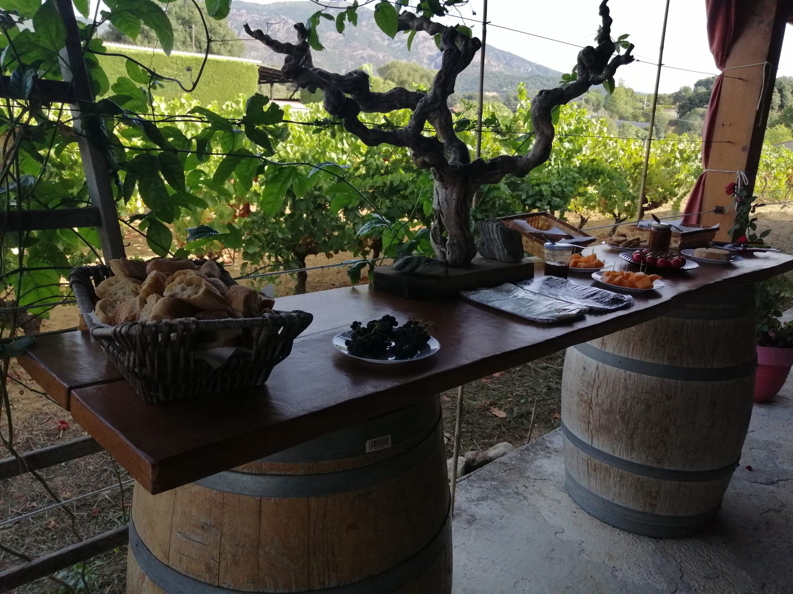 buffet corse et degustation de vins incentive ajaccio