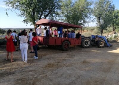 Visite d'un bull park seville espagne