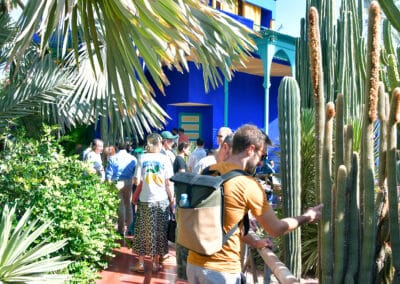 Visite du jardin majorelle.