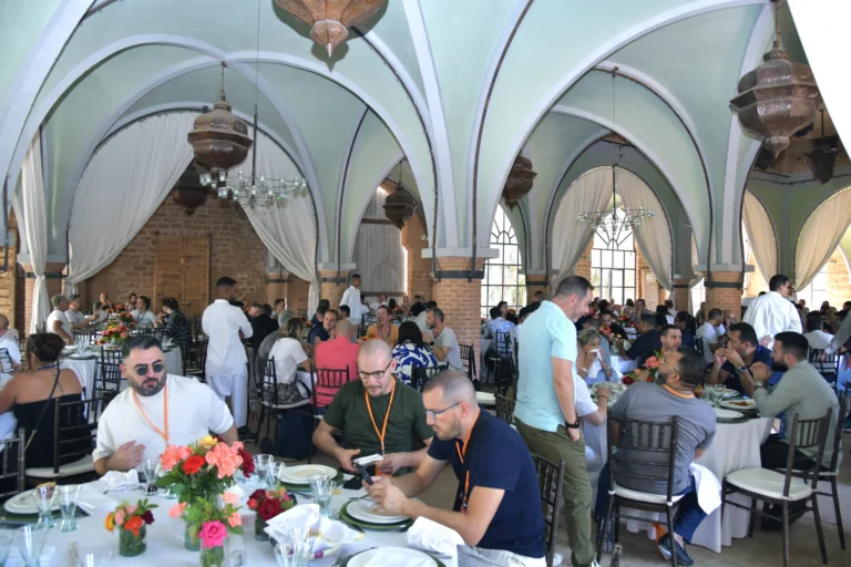 dsc 2541