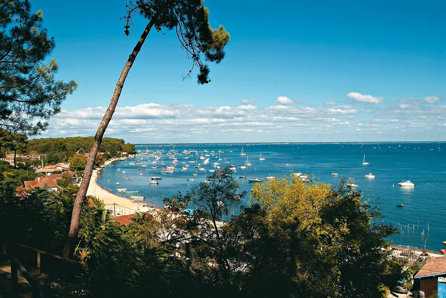 bassin arcachon